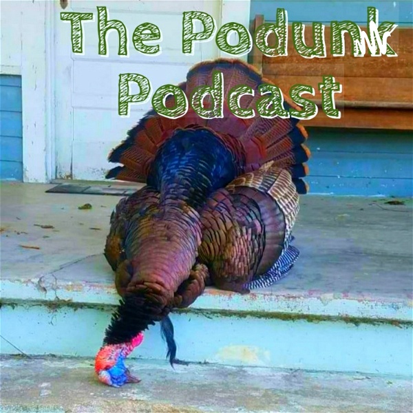 Artwork for The Podunk Podcast Presented By FlyDown