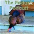 The Podunk Podcast Presented By FlyDown