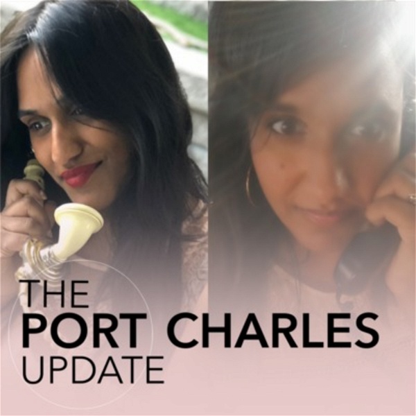 Artwork for The Port Charles Update