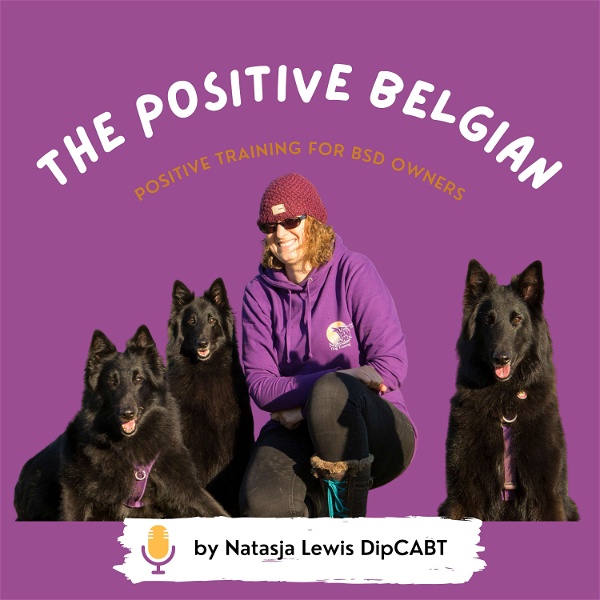 Artwork for The Positive Belgian
