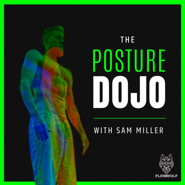 Artwork for The Posture Dojo