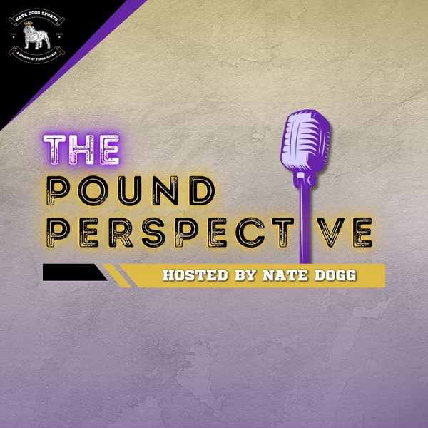 Artwork for The Pound Perspective