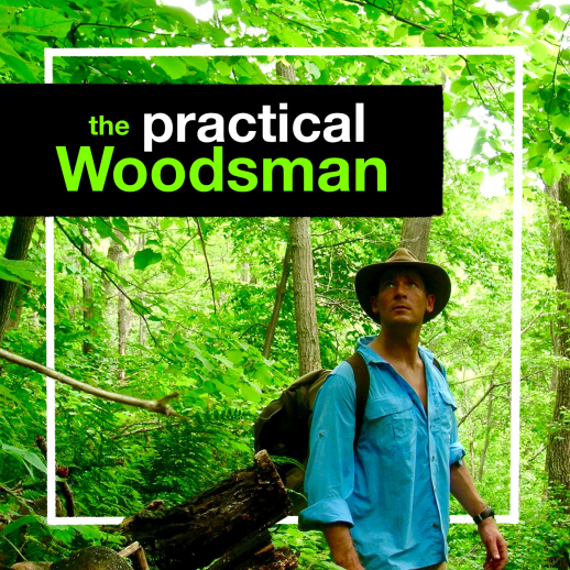 Artwork for The Practical Woodsman