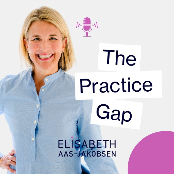 Artwork for The Practice Gap