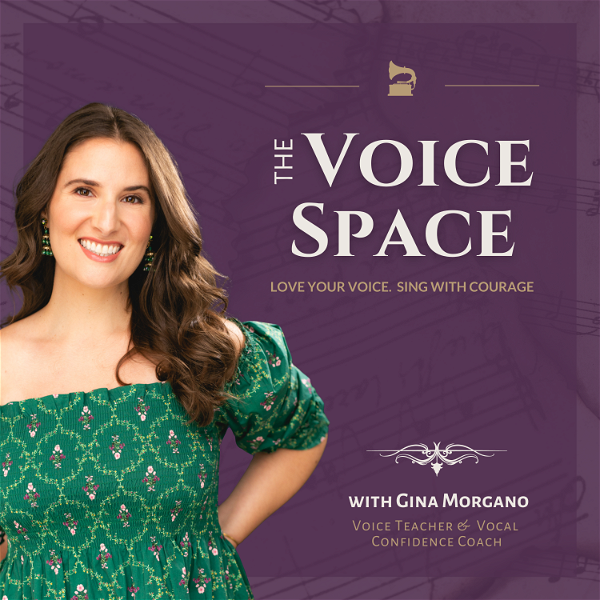 Artwork for The Voice Space
