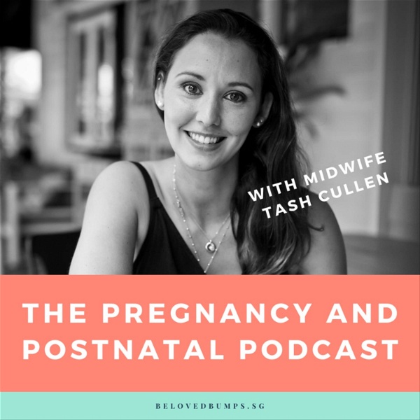 Artwork for The Pregnancy and Postnatal Podcast
