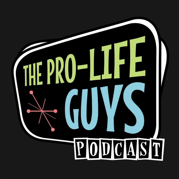 Artwork for The Pro-Life Guy's Podcast