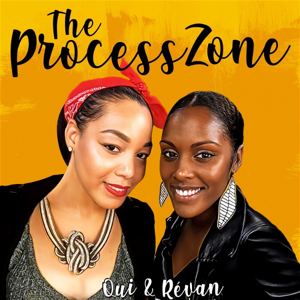 Artwork for The Process Zone