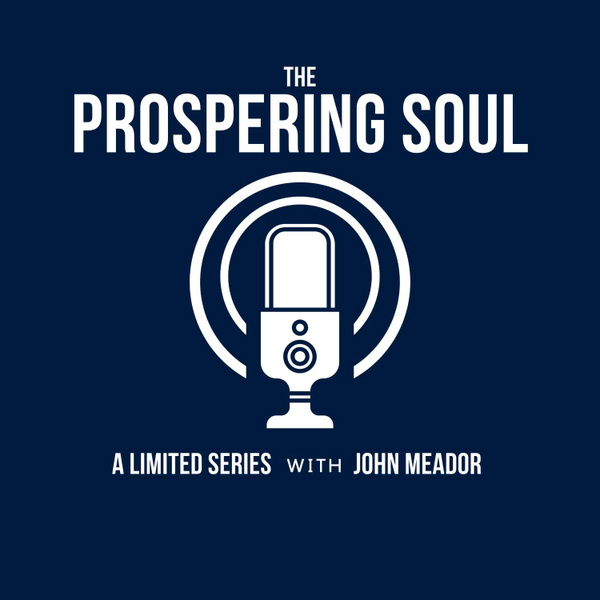Artwork for The Prospering Soul