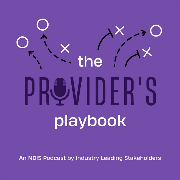 Artwork for The Provider's Playbook