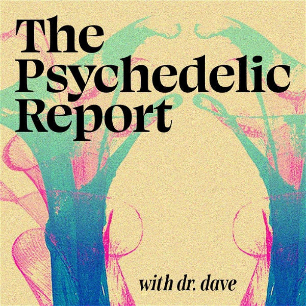 Artwork for The Psychedelic Report