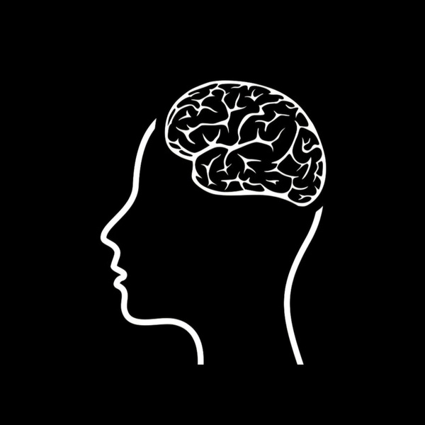 Artwork for Physology