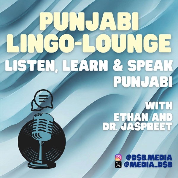 Artwork for The Punjabi Lingo-Lounge