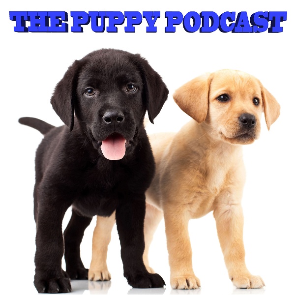 Artwork for The Puppy Podcast