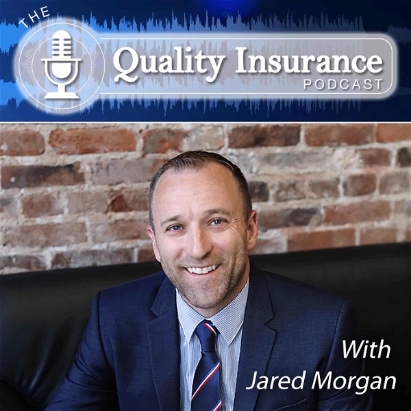 Artwork for The Quality Insurance Podcast