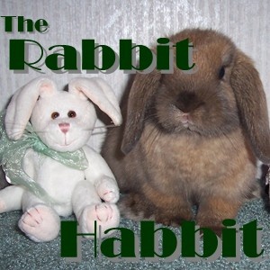 Artwork for The Rabbit Habbit