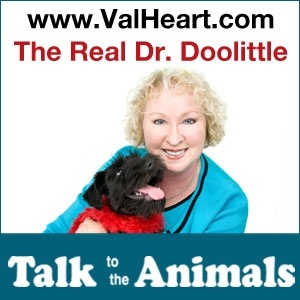 Artwork for The Real Dr Doolittle Show With Val Heart