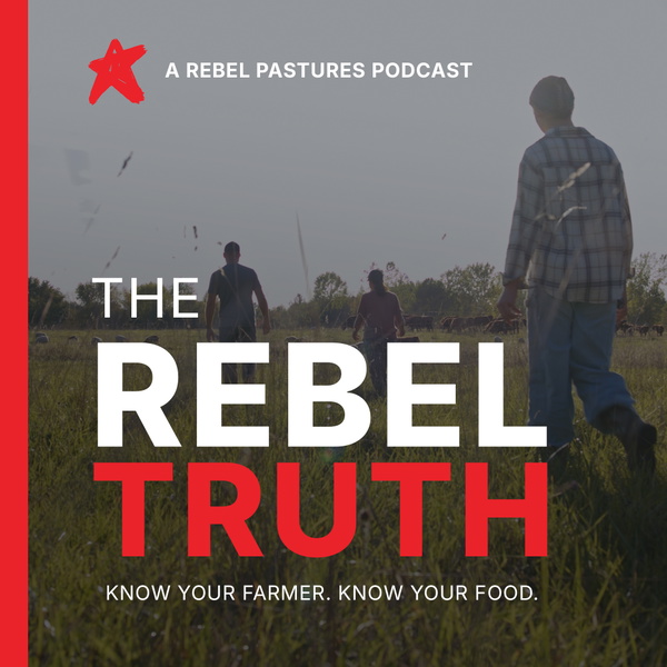 Artwork for The Rebel Truth