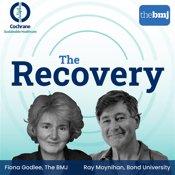 Artwork for The Recovery