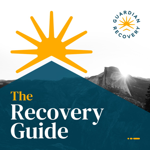 Artwork for The Recovery Guide