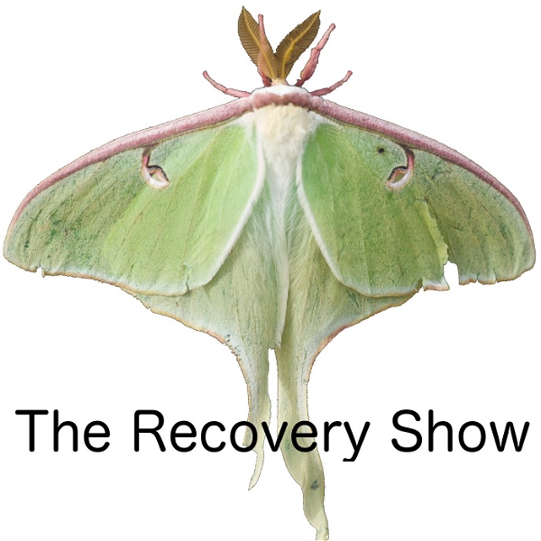 Artwork for The Recovery Show » Finding serenity through 12 step recovery in Al-Anon – a podcast