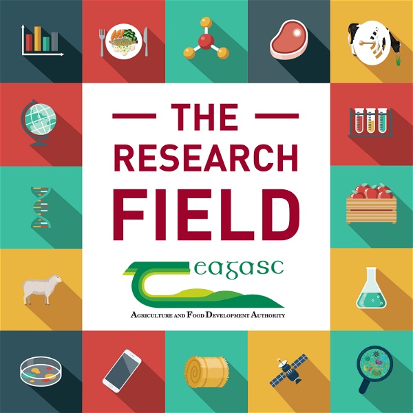 Artwork for The Research Field