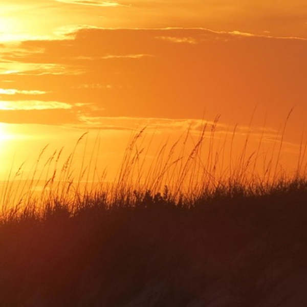 Artwork for The Rev. Jay Lawlor Sermons