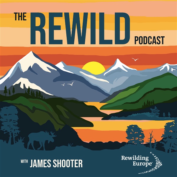 Artwork for The Rewild Podcast