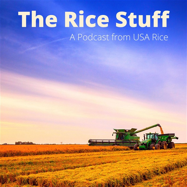 Artwork for The Rice Stuff