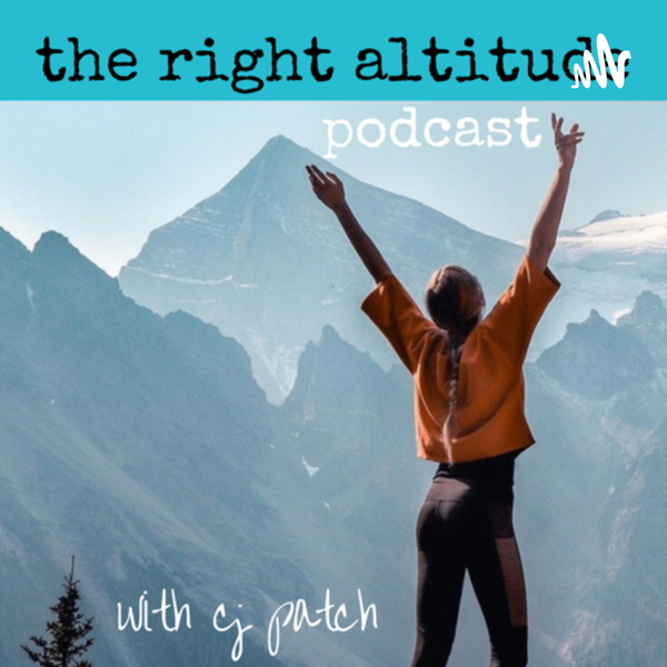 Artwork for The Right Altitude