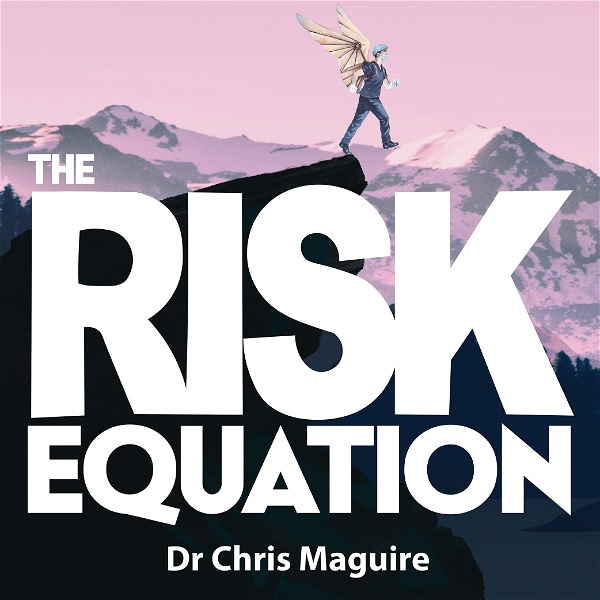 Artwork for The Risk Equation