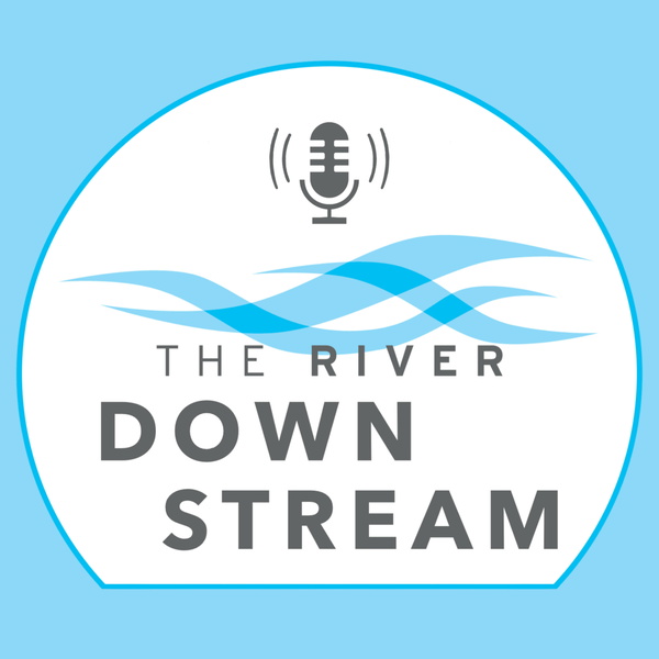 Artwork for The River: Downstream
