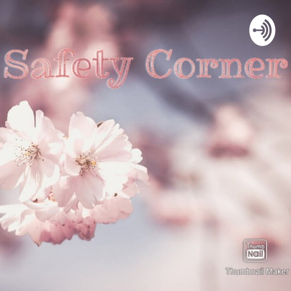 Artwork for The Safety Corner