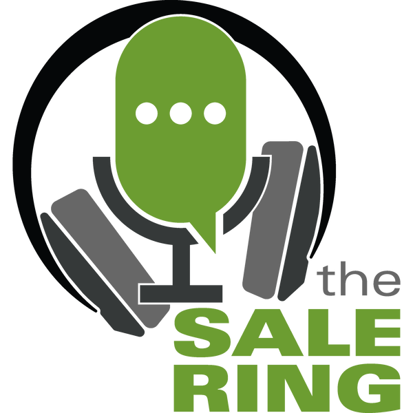 Artwork for The Sale Ring