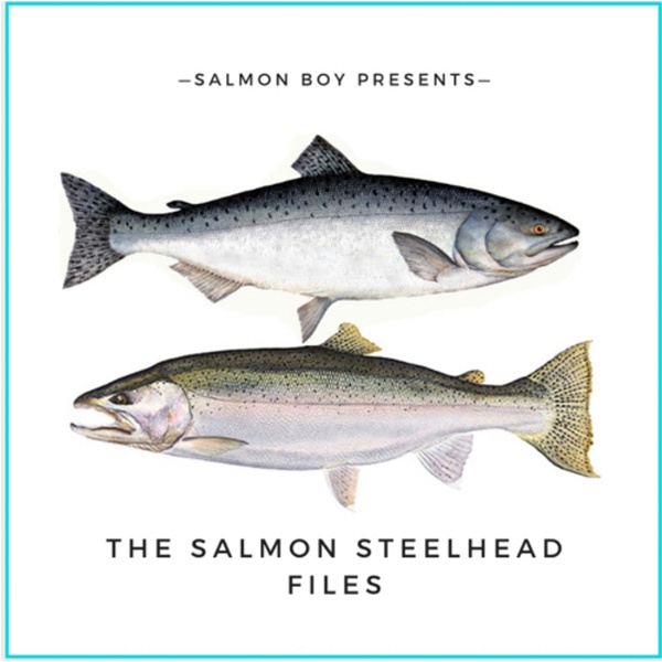 Artwork for The Salmon Steelhead Files