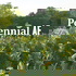 Perennial AF