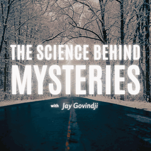 Artwork for The Science Behind Mysteries