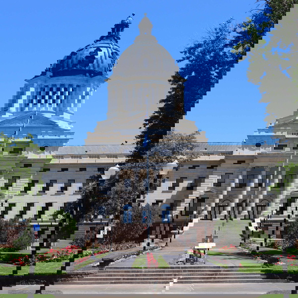 Artwork for The Scouting Lounge