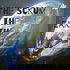 The Scrum of the Earth Rugby Podcast
