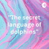 "The secret language of dolphins"