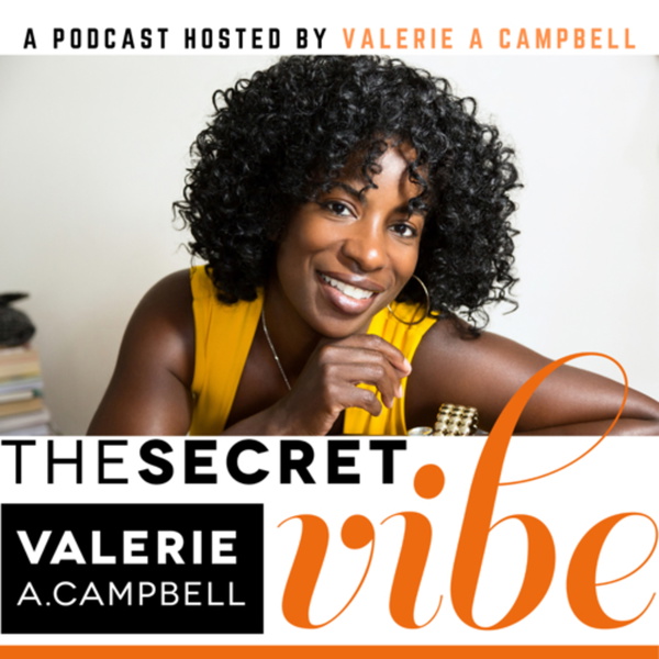 Artwork for The Secret Vibe