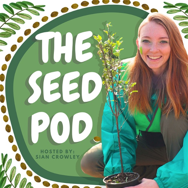 Artwork for The Seed Pod.