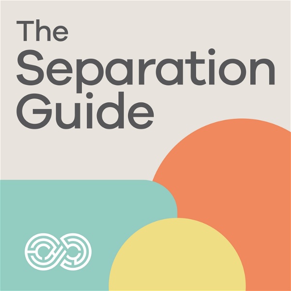 Artwork for The Separation Guide