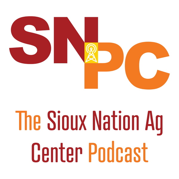 Artwork for The Sioux Nation Podcast