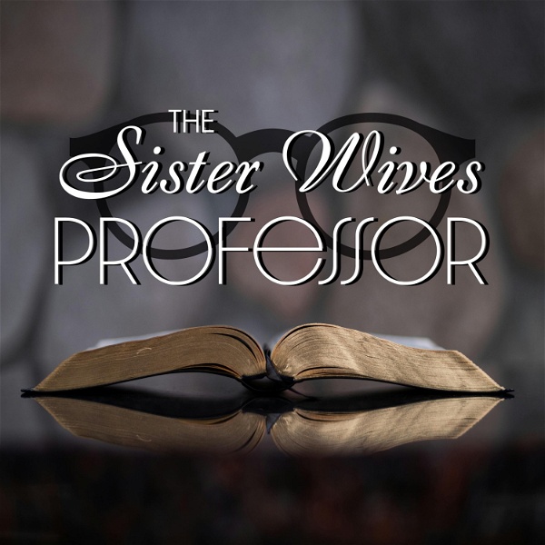 Artwork for The Sister Wives Professor