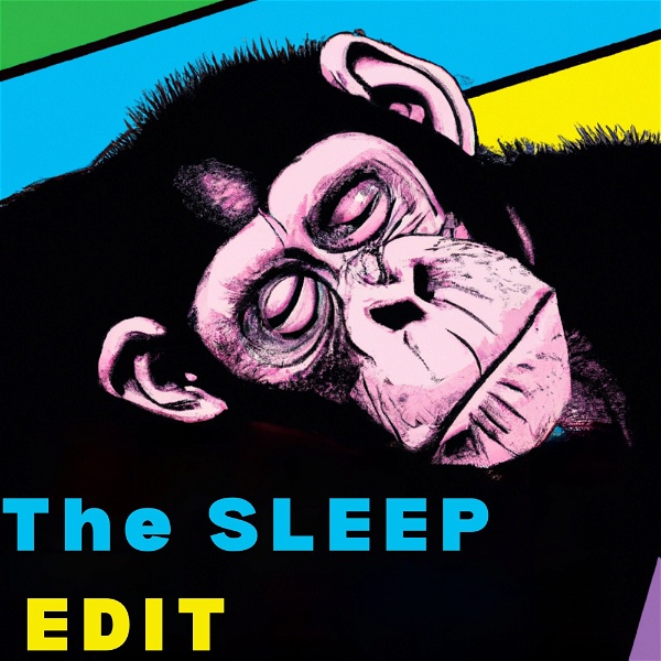 Artwork for The Sleep Edit