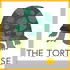 The Tortoise with Brooke McAlary