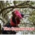 The Smooth Saw