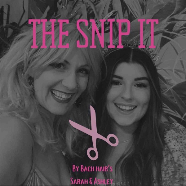 Artwork for The Snip It