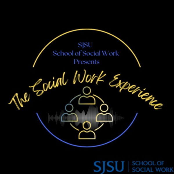 Artwork for The Social Work Experience